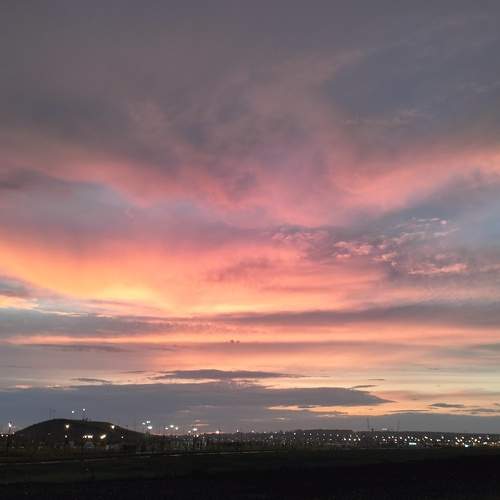 Photo #12521802
