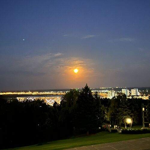 Photo #12521803