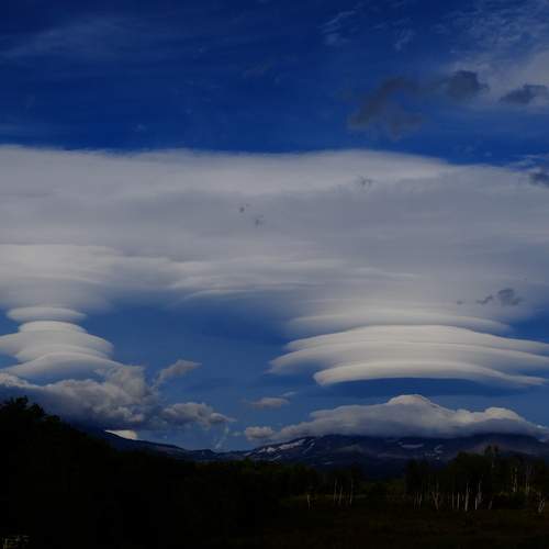 Photo #12521881