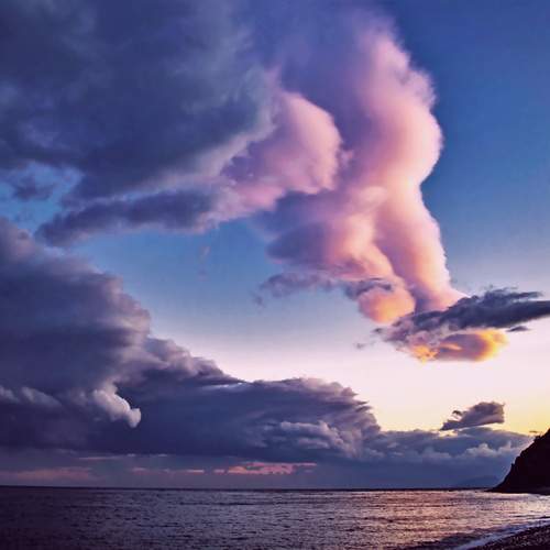 Photo #12521918