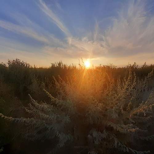 Photo #12521932