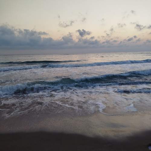 Photo #12521986