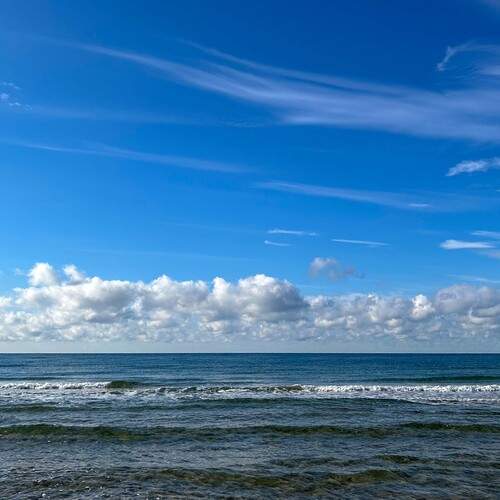 Photo #12522039