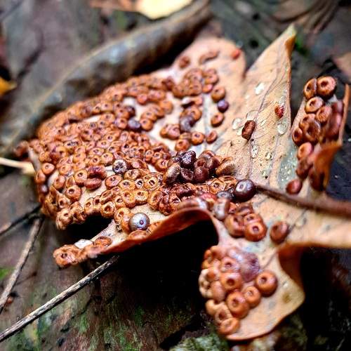 Photo #12522075