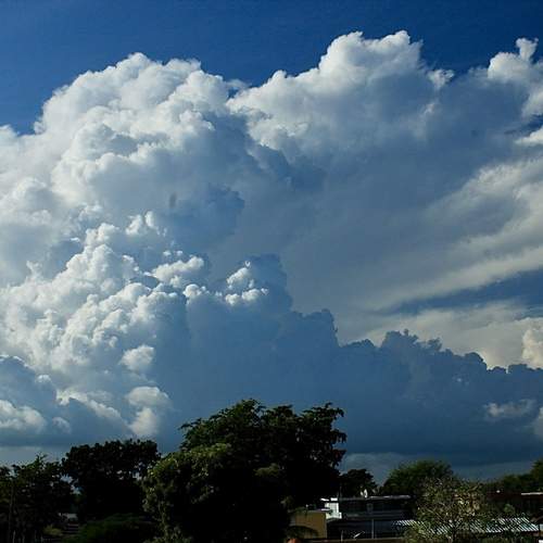 Photo #12522170