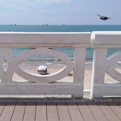 Photo #12522182