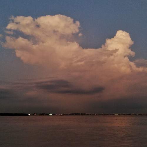 Photo #12523251
