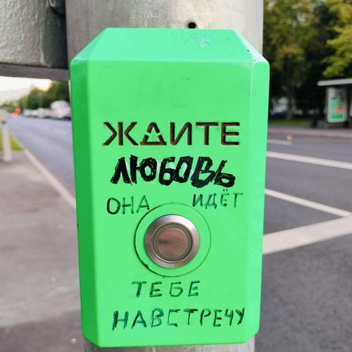 Photo #12523328