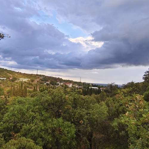 Photo #12523400