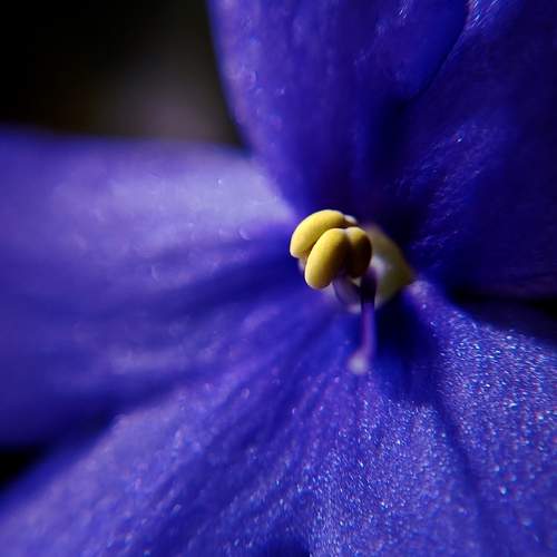 Photo #12523444
