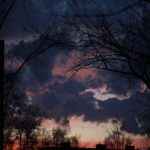 Photo #12524153