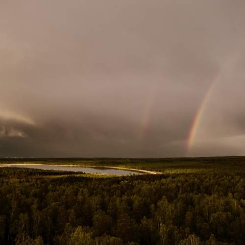 Photo #12524370