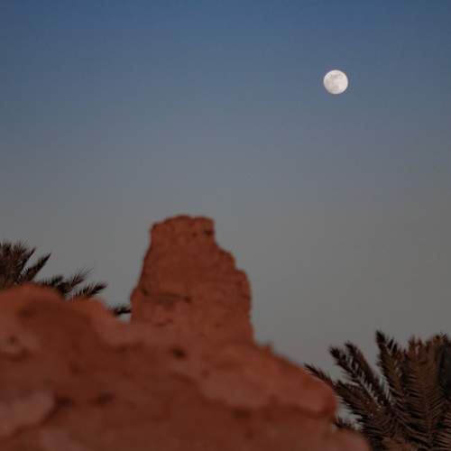 Photo #12524388