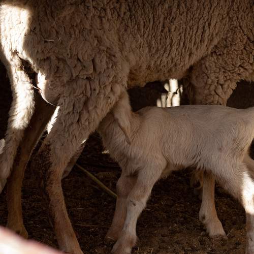 Photo #12524401