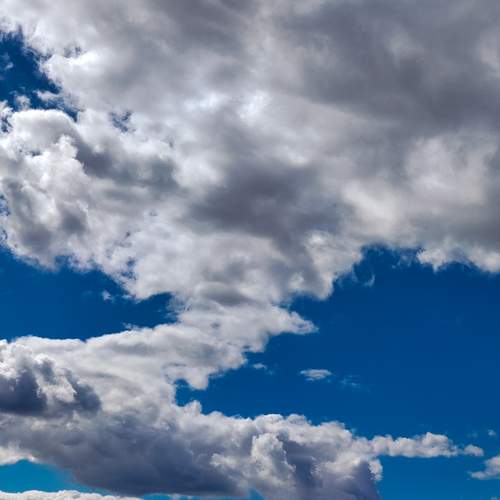 Photo #12524456