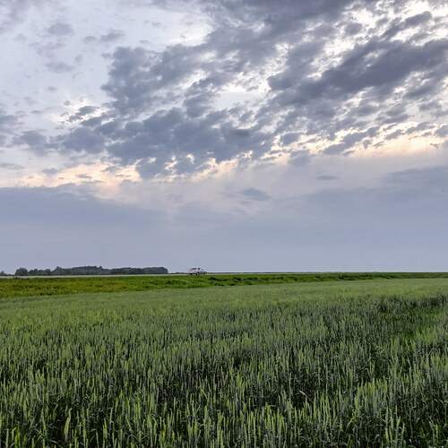 Photo #12524488