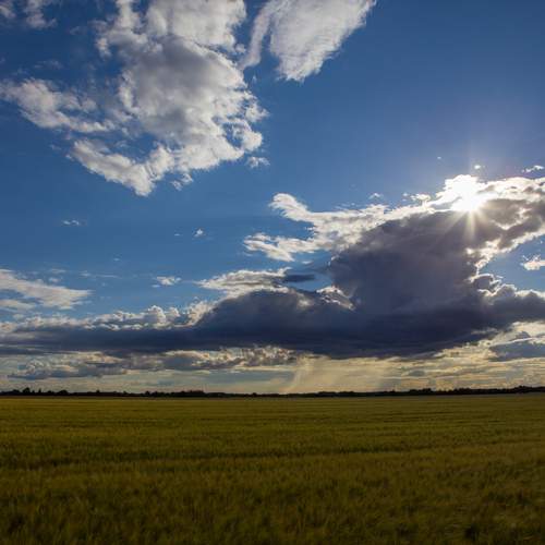 Photo #12524584