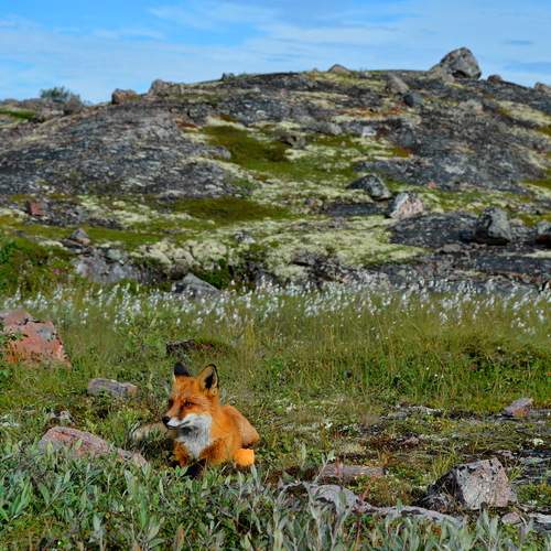 Photo #12524641