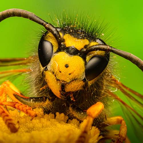 Photo #12524816