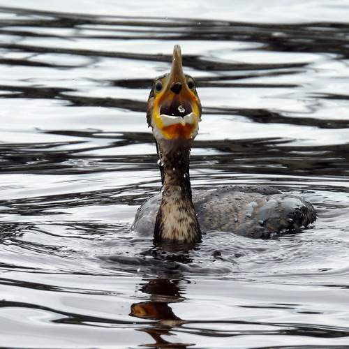 Photo #12524872