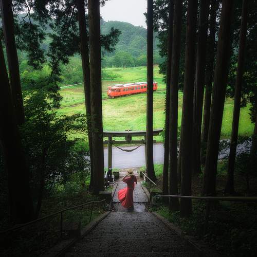 Photo #12524934