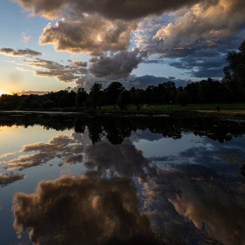 Photo #12525016