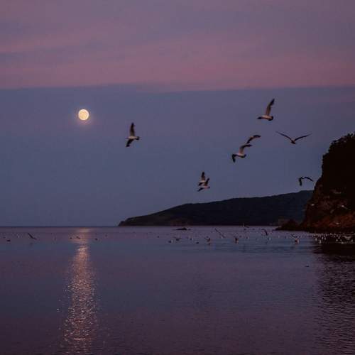 Photo #12525090