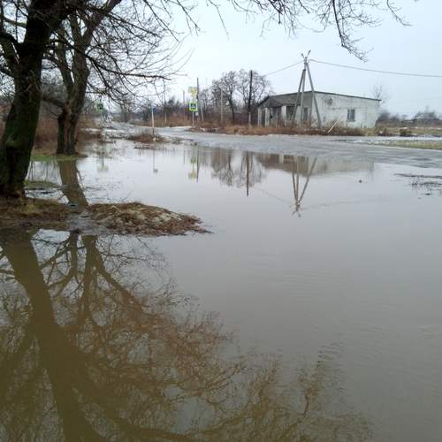 Photo #12525126