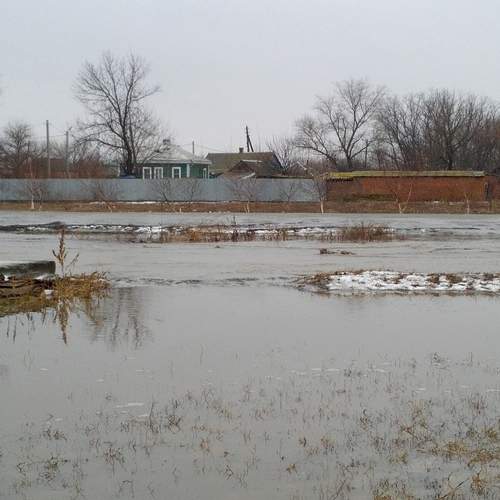Photo #12525127
