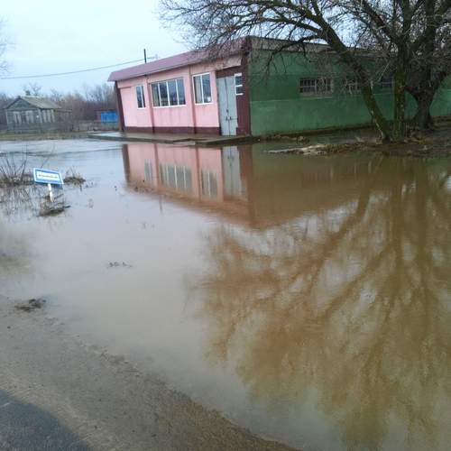 Photo #12525128