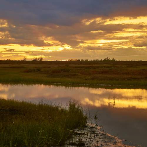 Фотография #12525212