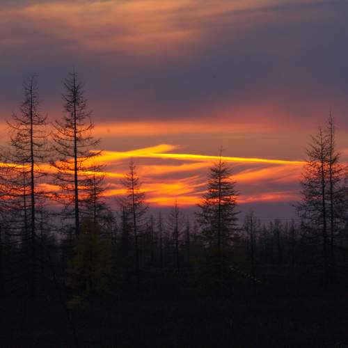 Фотография #12525215