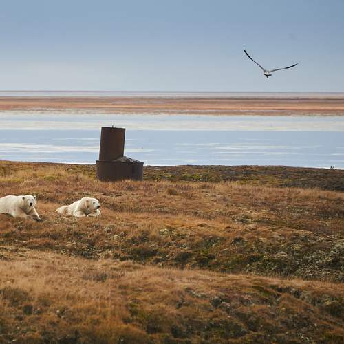 Фотография #12525226