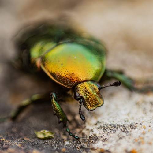 Photo #12525258