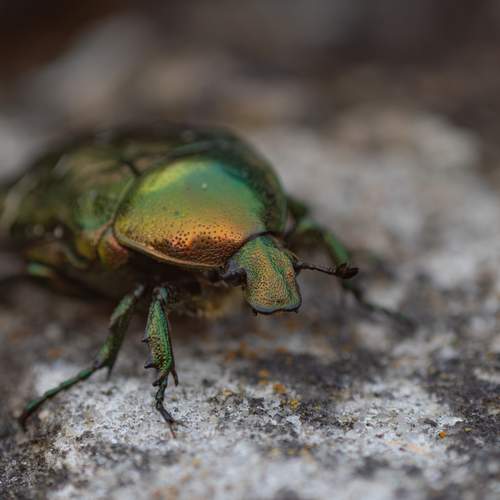 Photo #12525259
