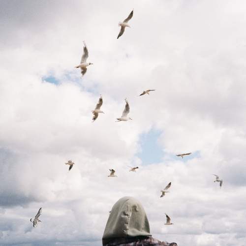 Photo #12525315