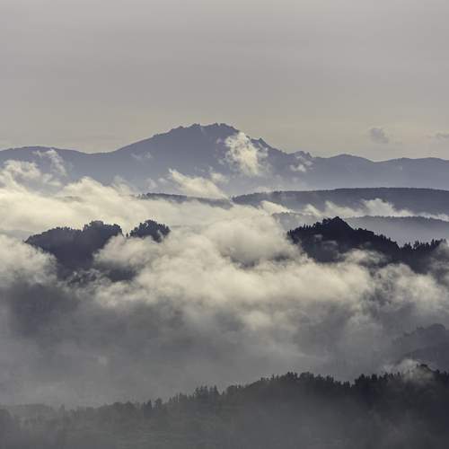 Photo #12525432