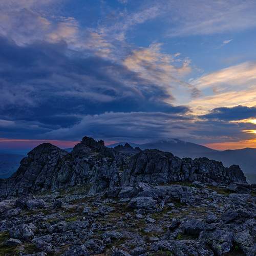 Photo #12525444