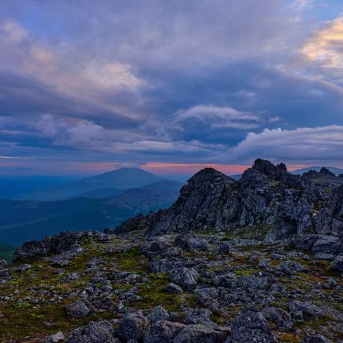 Photo #12525445