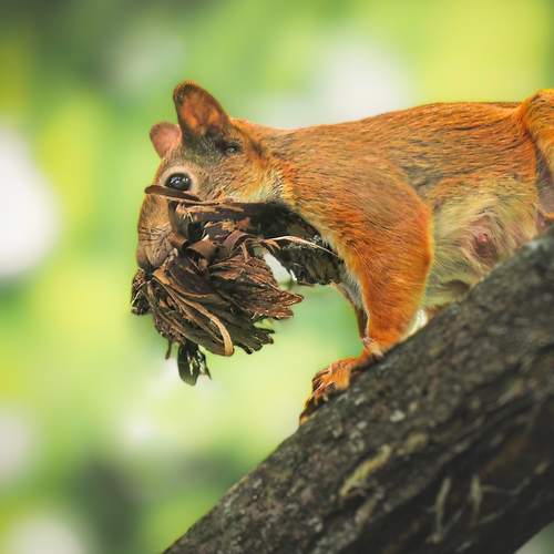 Photo #12525474