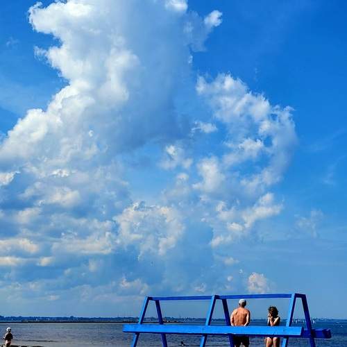 Photo #12525797