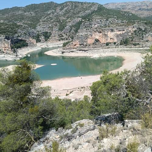 Photo #12526526