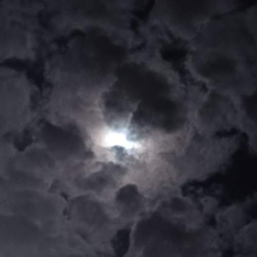 Photo #12526823