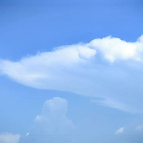 Photo #12528721