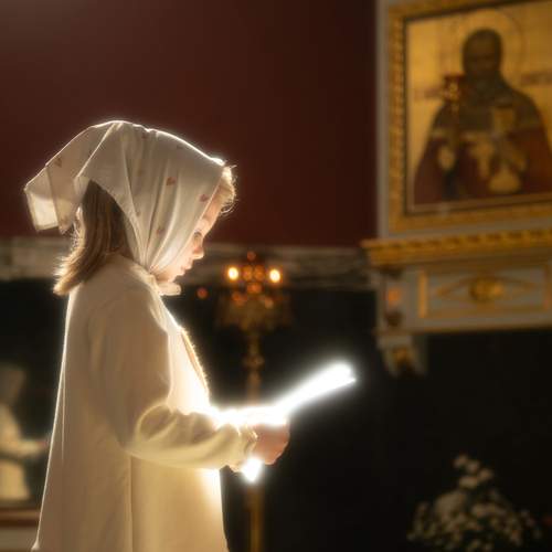 Photo #12529010