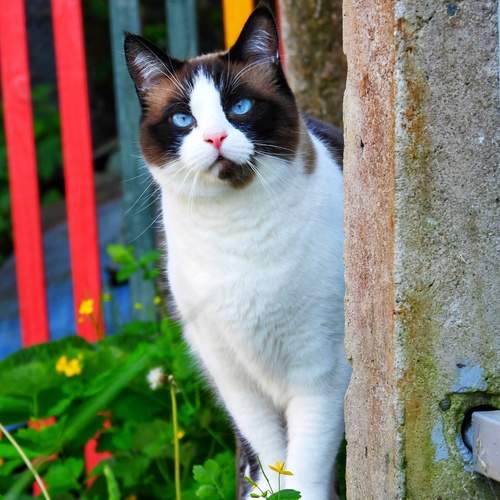 Photo #12529075