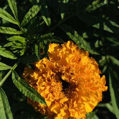 Photo #12529104