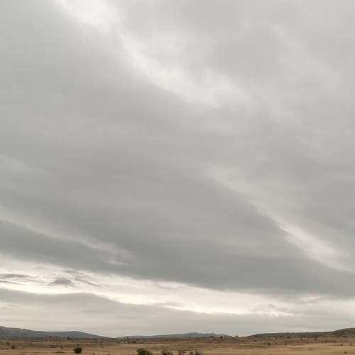 Photo #12529105