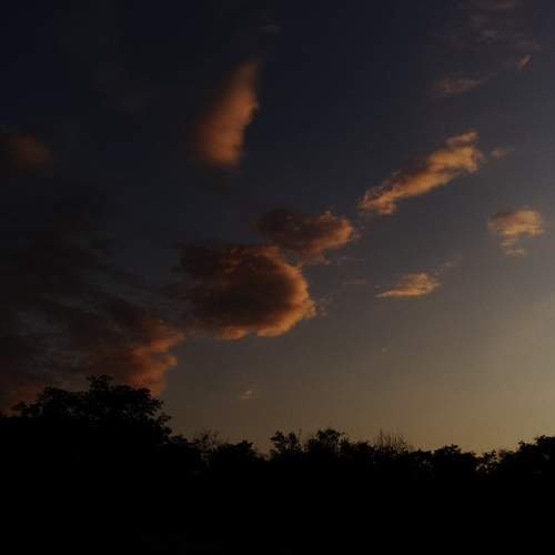 Photo #12529194