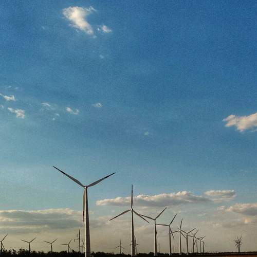 Photo #12529195
